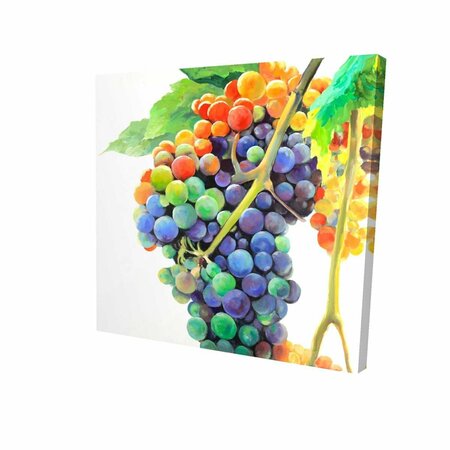 FONDO 16 x 16 in. Colorful Bunch of Grapes-Print on Canvas FO2786784